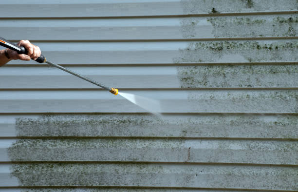Pre-Holiday Cleaning in Orofino, ID